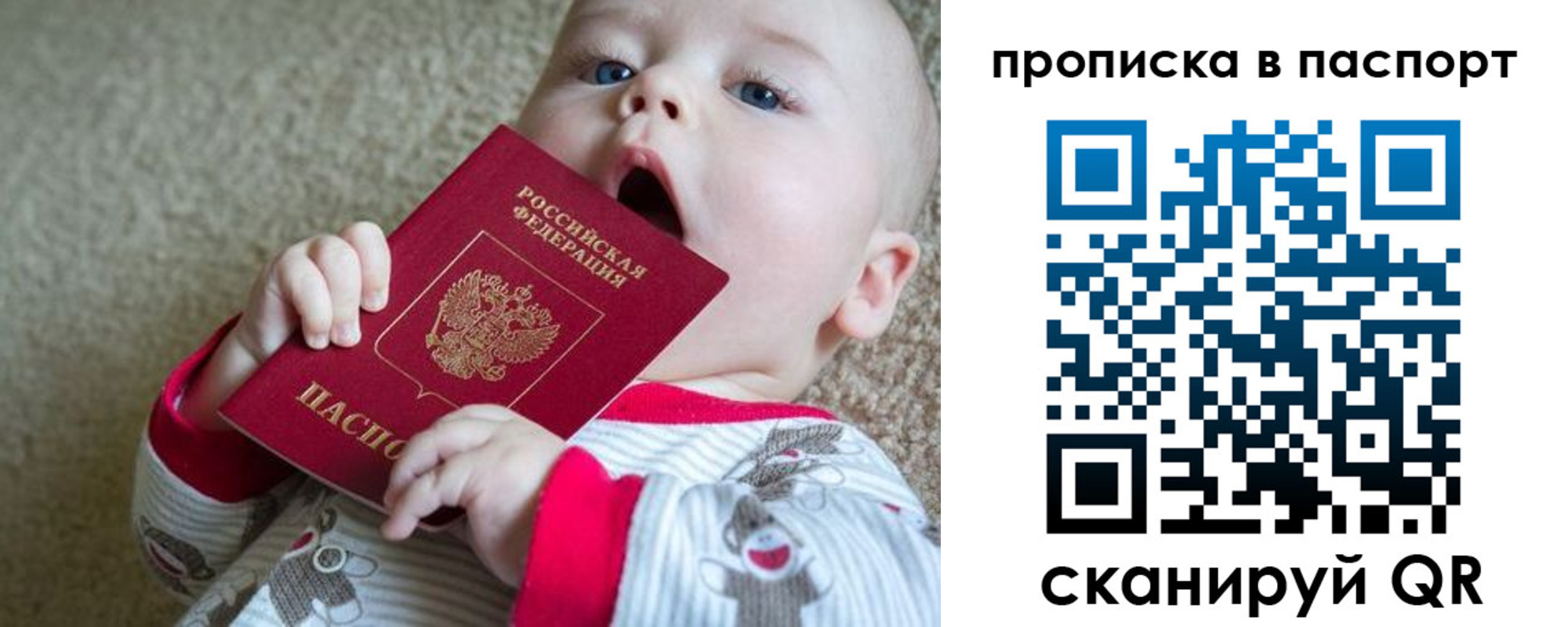 купить прописку в Ленинградской области